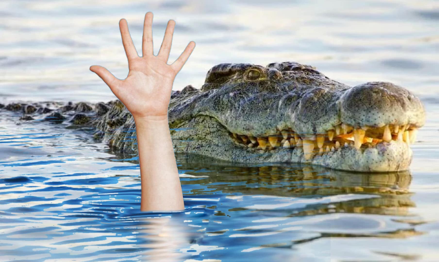 Dua Adik Jadi Saksi, Kakak Tewas diterkam Buaya